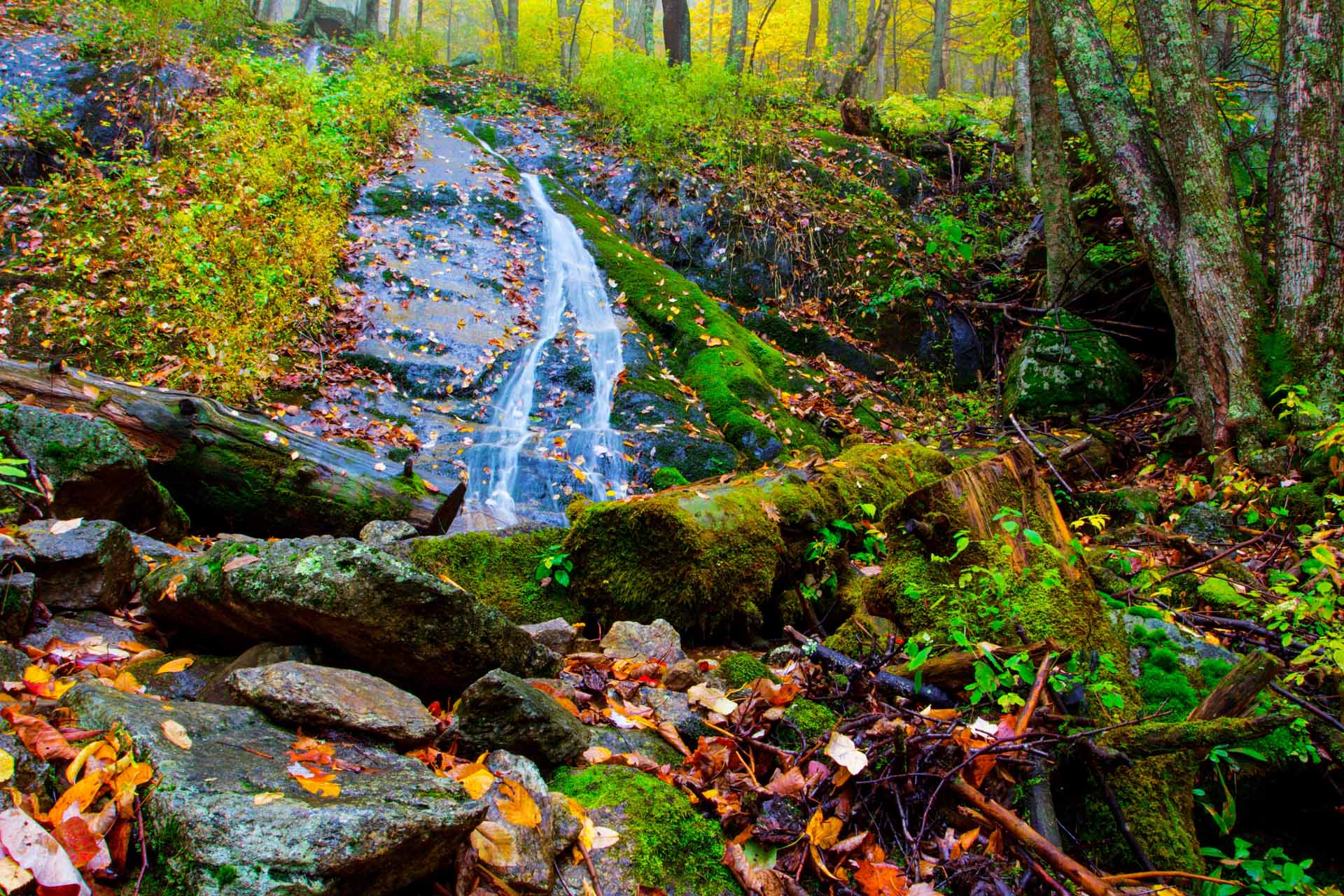 lets-get-started-vujovic-law